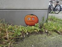 903306 Afbeelding van een mandarijn ( Jandarijn ) van JanIsDeMan (Jan Heinsbroek) op een schakelkastje aan de ...